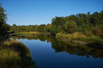 Fototapeta premium Summer forest river reflection landscape. Forest river reflection view. Forest river landscape. Green forest river view