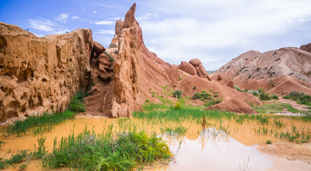 Fototapeta premium Swamp by the canyons