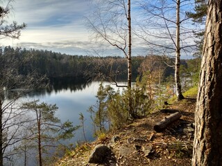 lake in the forest