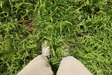 夏の草むらに立つ