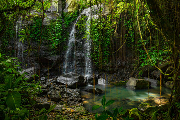 Waterfall landscape. Beautiful hidden waterfall in tropical rainforest. Nature background. Fast shutter speed. Sing Sing Angin waterfall, Bali, Indonesia