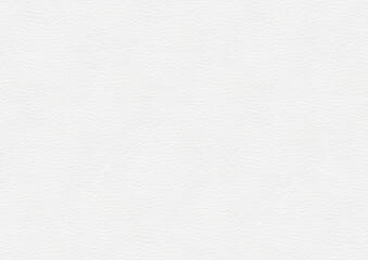 白い背景素材