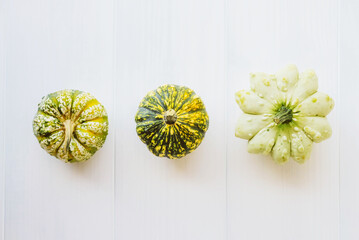 Colorful mini pumpkins of different colors on white background.