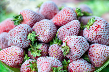 Frozen strawberries covered with hoarfrost on a plate. Close-up, side view. 