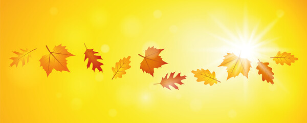 Naklejka na ściany i meble falling autumn leaves on sunny sky background vector illustration EPS10