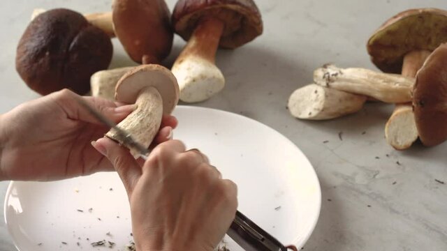 The woman is sorting through the mushrooms of the autumn forest and cleans the legs and caps of the boletus boletus from the debris with a knife.