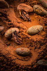Organic cocoa powder with cocoa beans