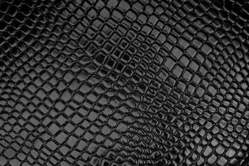Black Crocodile leather texture background.Alligator belly leather Used for sewing, making fashion...