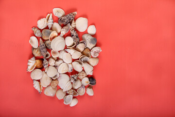 Seashells are heaped on a red background. Flat lay.Copy spaes.