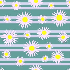 Obraz premium seamless pattern with camomiles on lines background