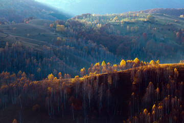 Obraz premium Beautiful autumnal landscape with colorful trees.