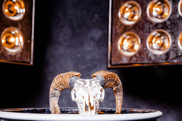 Ram skull on a glossy black surface. A panel with lamps shines on the skull