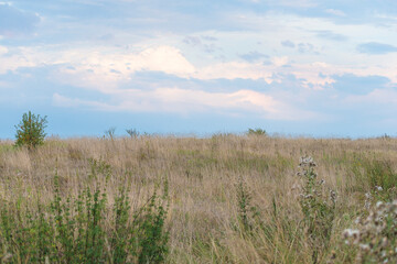 Rural landscape with beautiful clouds, horizon line. Autumn season, hunting concept