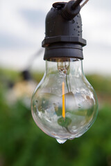 Lampadina sotto la pioggia in Puglia