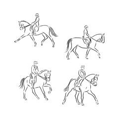 Illustration of Horse Riding. Hand drawn dressage horses vector sketch illustration