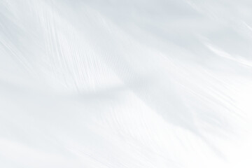 Obraz premium white feather pattern texture background