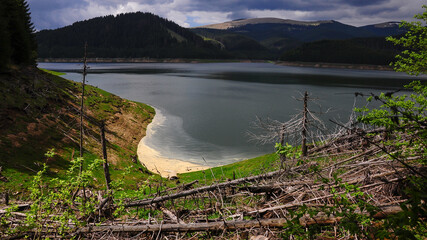 A small part of Vidra Lake and the forests surrounding it, Lotru Mountains, Romania. Stormy summer weather.