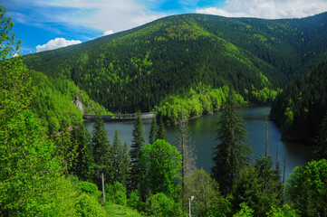 Fototapeta premium Sadu dam located in Cindrel Mountains. A wild woodland surrounds the lake. Besides electric power, the lake provides Sibiu citizens with clean and fresh drinking water. Romania, Carpathians - spring 