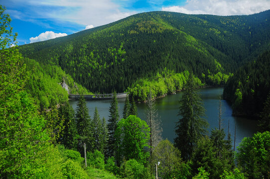 Sadu dam located in Cindrel Mountains. A wild woodland surrounds the lake. Besides electric power, the lake provides Sibiu citizens with clean and fresh drinking water. Romania, Carpathians - spring © Alexandru V