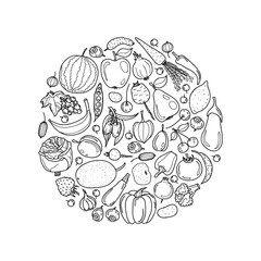 Round composition with cute hand drawn fruits and vegetables. Vector collection.