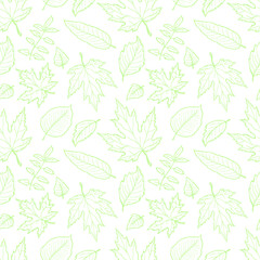 Seamless pattern with cute hand drawn leaves. Nature collection. Vector illustration