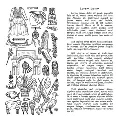 Obraz premium Illusrtation with cute hand drawn Peru related icons. Vector travel collection. 