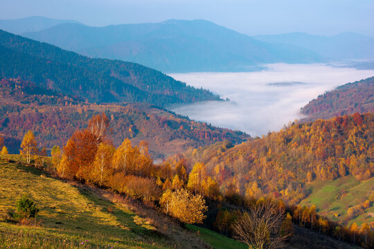 autumn sunrise in mountains. countryside landscape in fall season. fog in the distant valley. sunny morning
