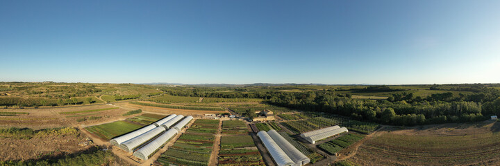 Panoramic of a nursery on a summer morning, in Herault in Occitania, France