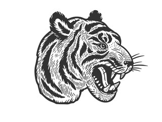 Tiger head tattoo sketch engraving vector illustration. T-shirt apparel print design. Scratch board imitation. Black and white hand drawn image.