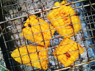 Sweet corn on hot coals in the grill. Close-up, top view