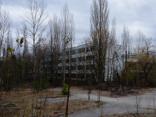Abandoned houses in Pripyat among the trees. Abandoned residential buildings in the area of radiation contamination.