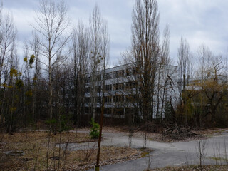 Abandoned houses in Pripyat among the trees. Abandoned residential buildings in the area of...