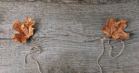 Autumn composition of dry leaves on an old Board