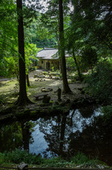 Fototapete bei efototapeten.de bestellen   