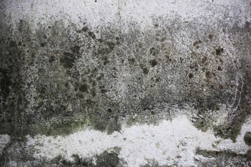 grunge wall background
