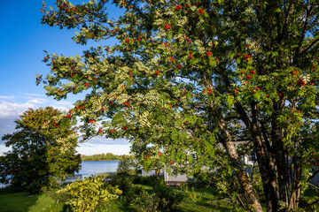 view of a large beautiful lake against the backdrop of clouds and blue sky
