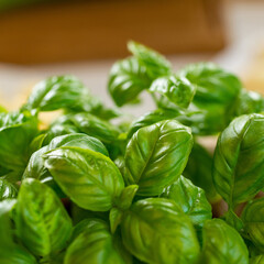 fresh basil leaves on a wooden table