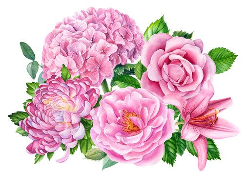 Pink bouquet of watercolor flowers, roses, hydrangeas, chrysanthemum, lily and eucalyptus leaves
