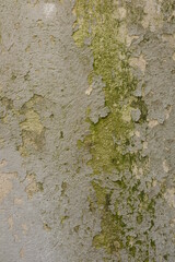 Hintergrund, Mauer
