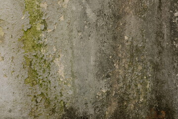 Hintergrund, Mauer
