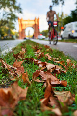 Colores de otoño en Barcelona, España.