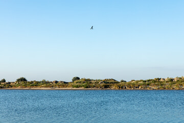 Beach of the blue sea with vegetation and sand, nature reserve