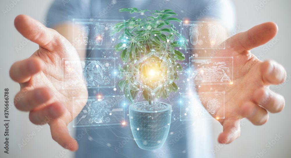 Leinwandbilder man holding and touching holographic projection of a plant with digital analysis 3d rendering