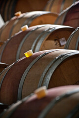 Wine barrels stacked in the old cellar