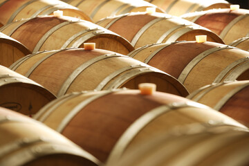 Wine barrels stacked in the old cellar