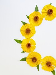 Yellow rudbekia flowers or coneflowers scattered on a white background in the form of a circle. The concept of love and health.