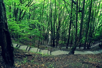 Subida de 1480 escalones hacia el famoso castillo de Poenari en Rumanía. Este castillo en ruinas en Rumania fue el hogar de Vlad el Empalador.