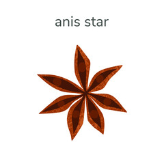 Vector illustration of dry anis star spice front view isotated on white background. Hand drawn illustration with textures.