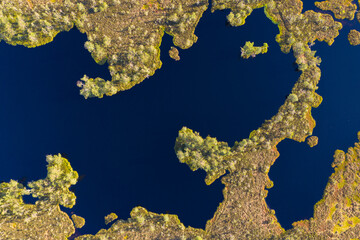 Aerial top down view over peat-bog landscape with lake and pool patterns.