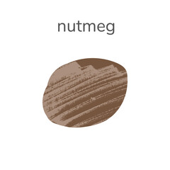 Illustration of whole nutmeg spice isotated on white background. Hand drawn illustration with textures.